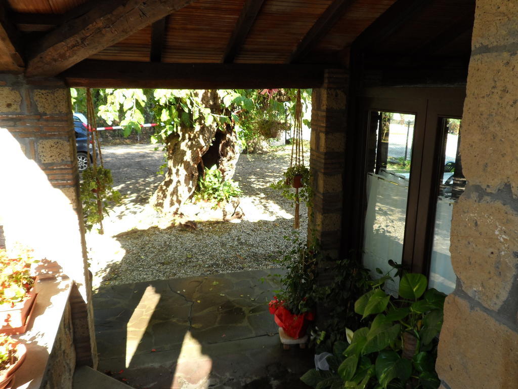 Mola Solis Hotel Civitella dʼAgliano Exterior foto